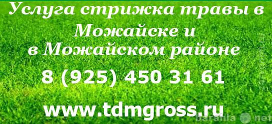 Предложение: Услуга стрижка травы в Можайске и Можайс