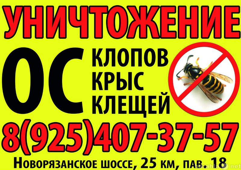 Предложение: Уничтожение клопов газом Фрязино,Щёлково