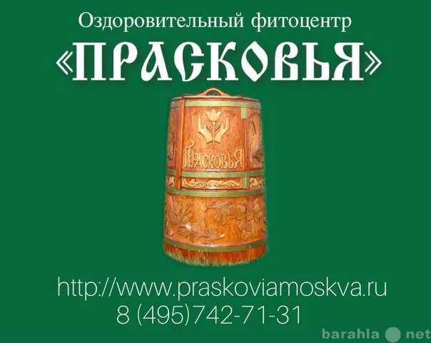 Предложение: Восстановление сил и здоровья в кедровой