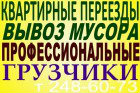 Предложение: Вывоз, вынос мусора. Уборка с территории