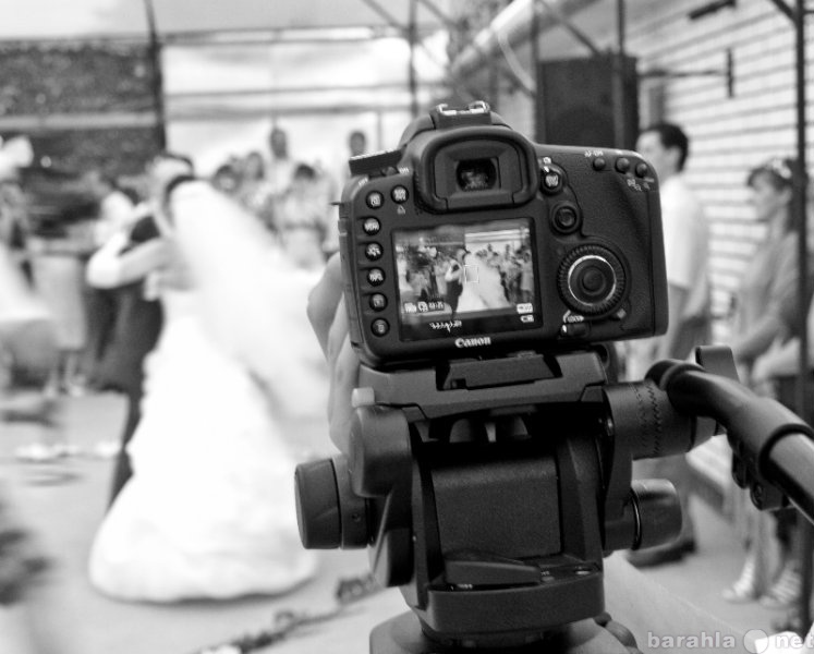 Предложение: Фотограф на свадьбу и другие мероприятия