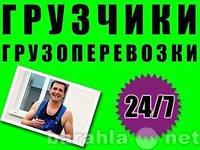 Предложение: Услуги наших грузчиков. Автотранспорт.