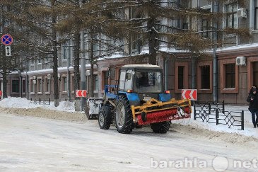 Предложение: Уборка чистка и вывоз снега