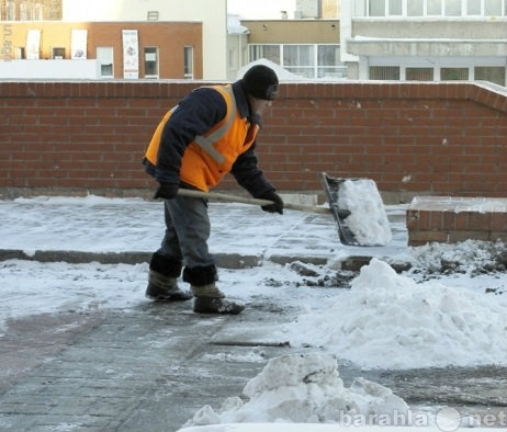 Предложение: Работники на уборку снега