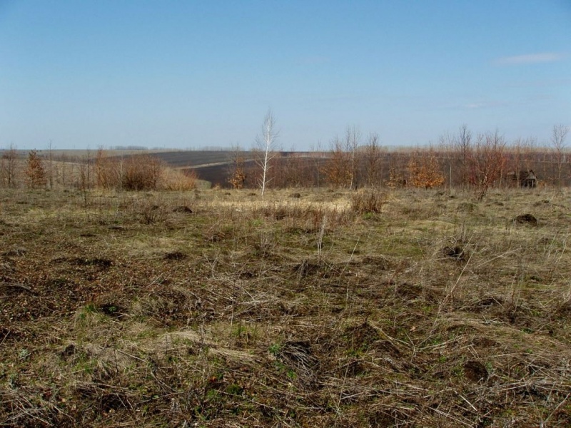 Продам: Продается земельный участок  в Курбатово