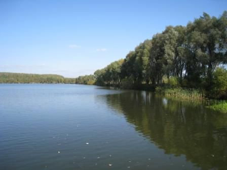 Продам: Земельный участок, 47 км Новорязанка