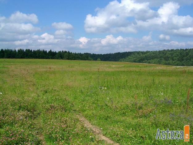 Продам: земельный участок 10 км от Гороховца