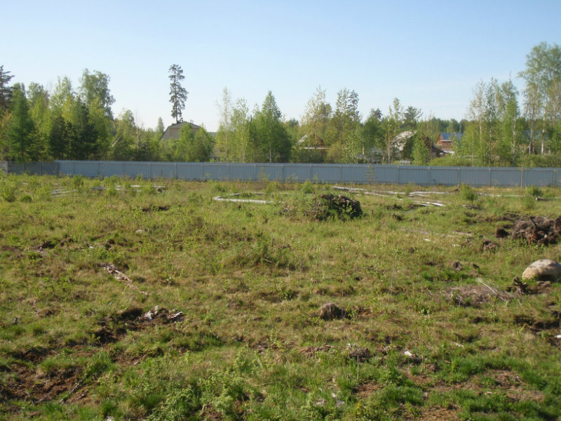 Продам: земельный участок в Кедровое под ИЖС