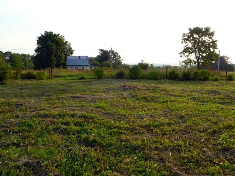 Продам: Земельный участок  в деревне Елховка