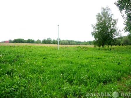 Продам: Земельный участок 20 сот в Новосиньково