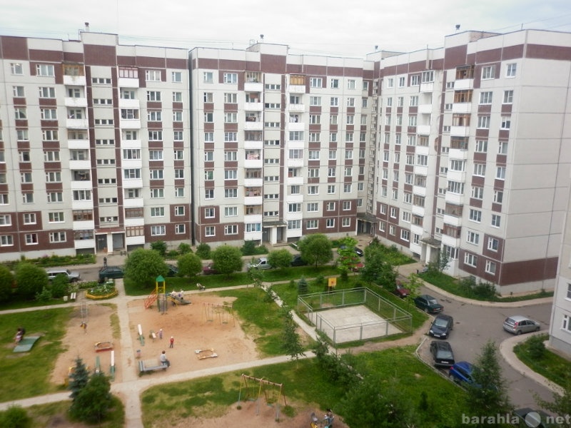 Купить 2 В Великом Новгороде