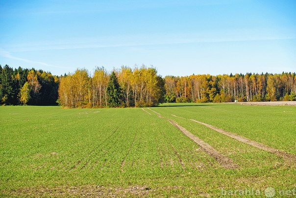 Продам: Земельный участок