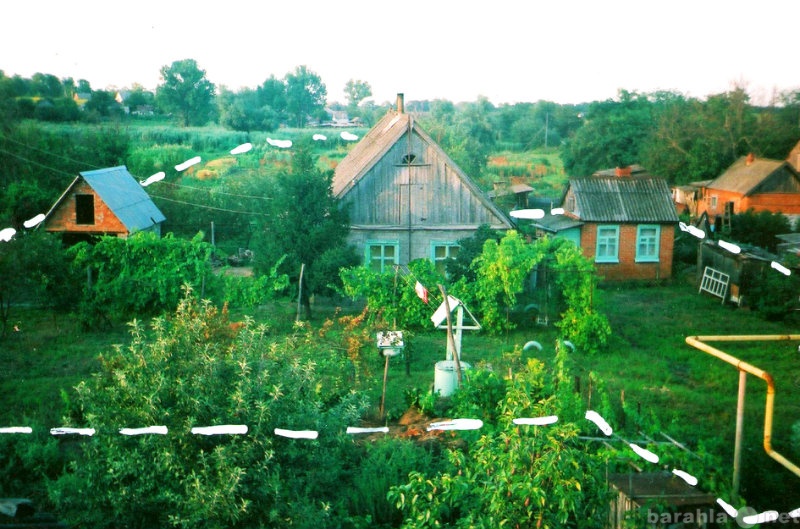 Продам: дом с участком на хуторе