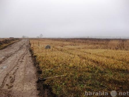 Продам: земельный участок в ДНП в Больших горках