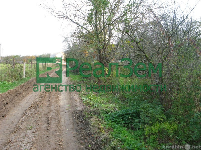 Продам: Участок 40 соток в деревне Терентьево