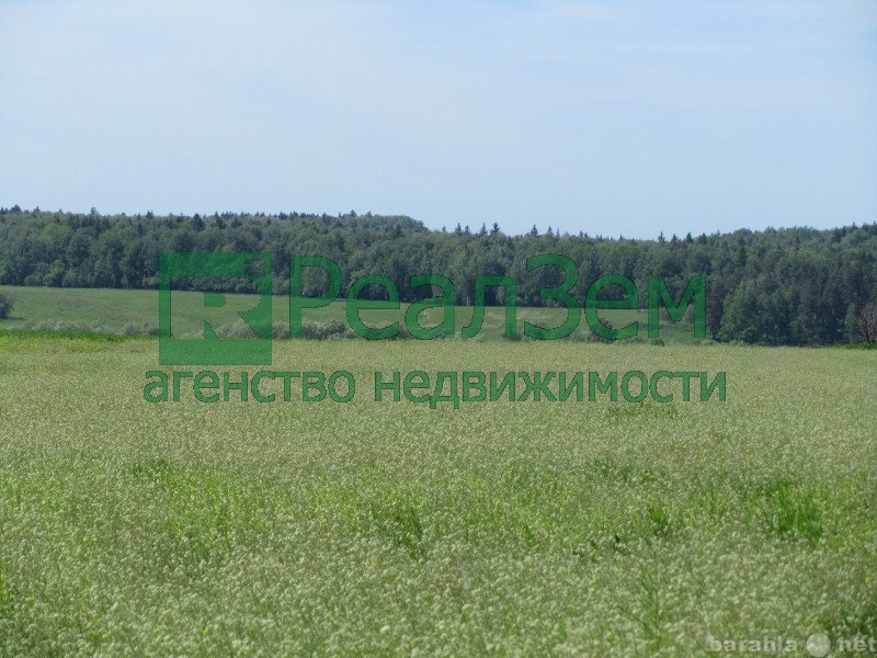Продам: Участок 40 соток в деревне Лукьяново