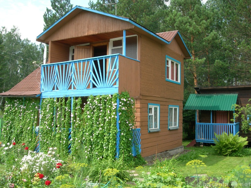 Купить дом от собственника новосибирск. Продается дача. Дачи в Новосибирске. Недорогие дачи недалеко. Красивая дача в Новосибирске.