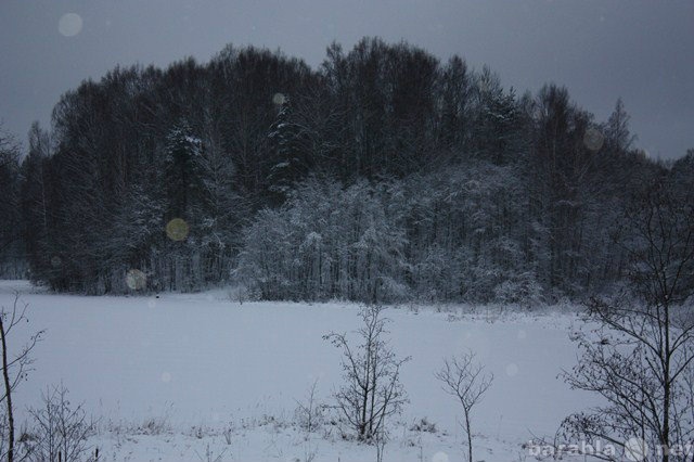Продам: Земельный участок у леса Новотоксово