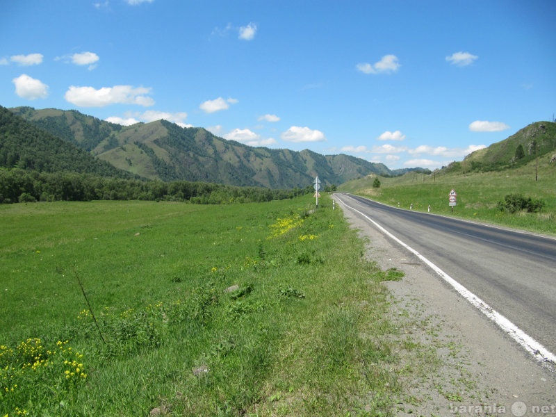 Шебалинский район село