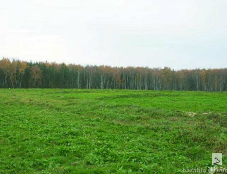 Продам: Земельный участок Петровский