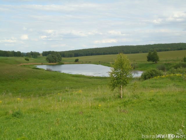 Продам: земельный участок в деревне Савелово