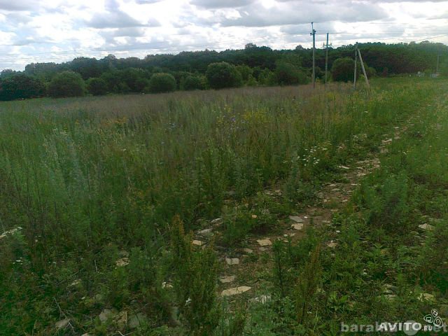 Продам: земельный участок в деревне Козловка