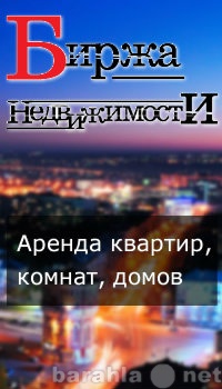 Сдам: квартиру