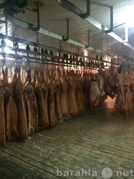 Сдам: Аренда мясоперерабатывающего предприятия
