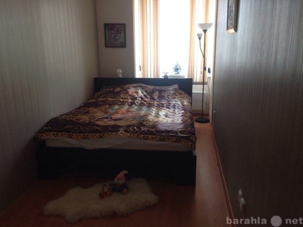 Сдам: квартиру