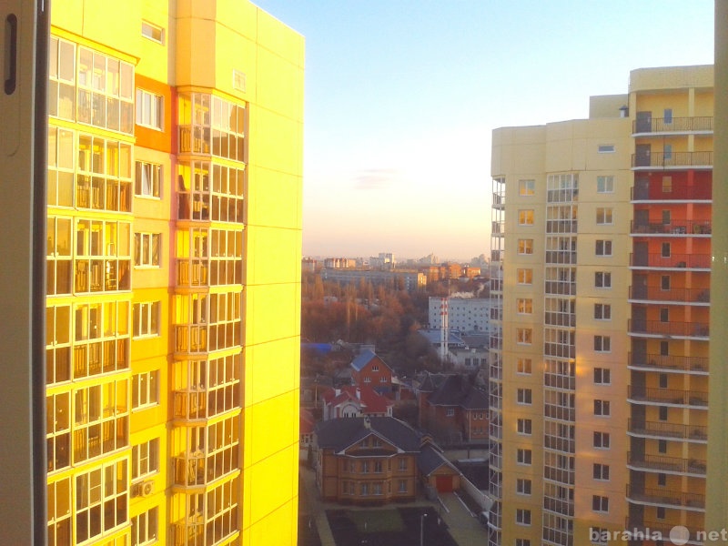 Сдам посуточно: квартиру