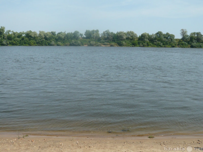 Продам: Продам прилесной  участок на реке Ока