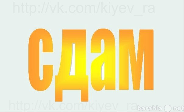 Сдам: квартиру