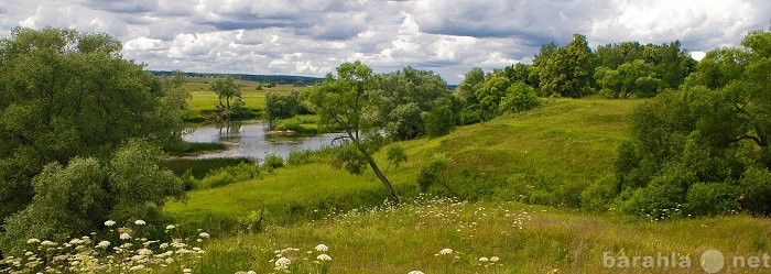 Куплю: Земельный участок