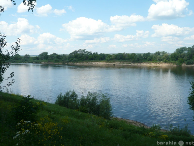 Продам: Земельный участок на реке Ока Мещериново