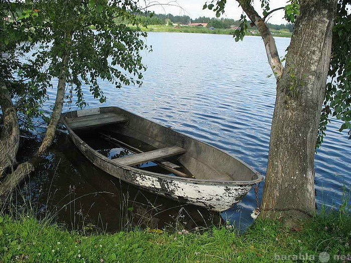 Продам: Земля, Кунгурка