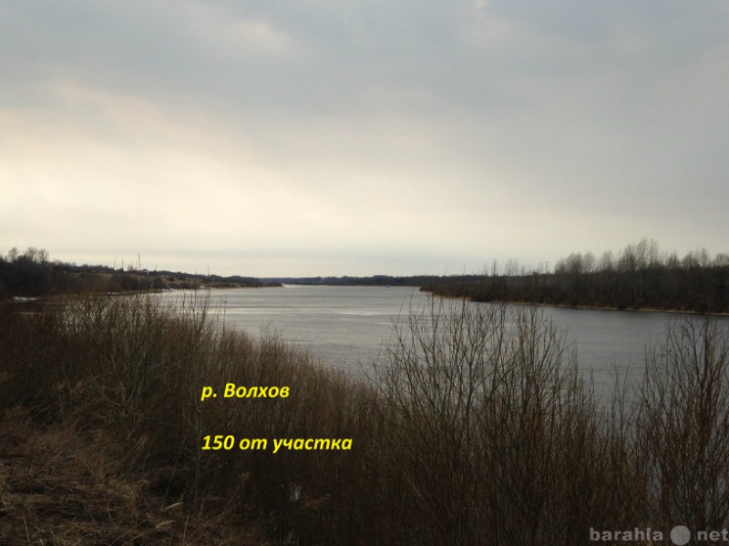 Продам: Земельный участок 68га на берегу рВолхов