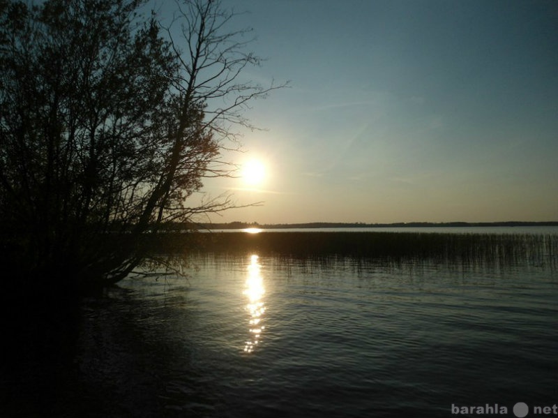 Продам: Участок ИЖС на берегу озера у Приозерска