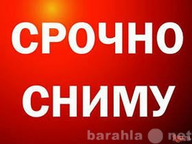 Сниму: квартиру