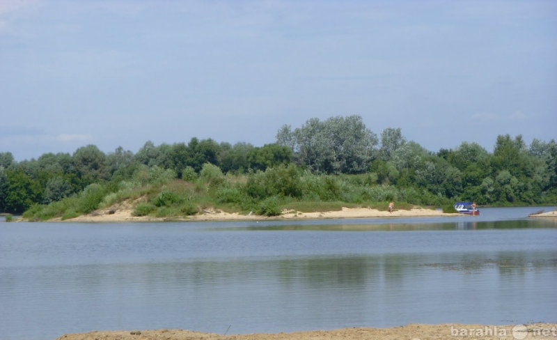 Продам: Прилесной земельный участок на реке Ока