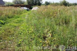 Продам: Земельный участок в Новохаритоново