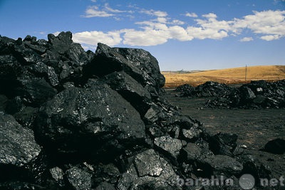 Продам: Продам землю под добычу угля