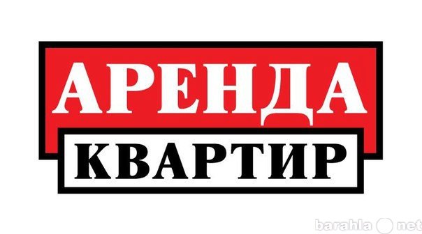 Сдам: квартиру