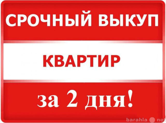 Куплю: квартиру