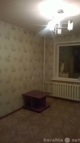 Сдам: квартиру