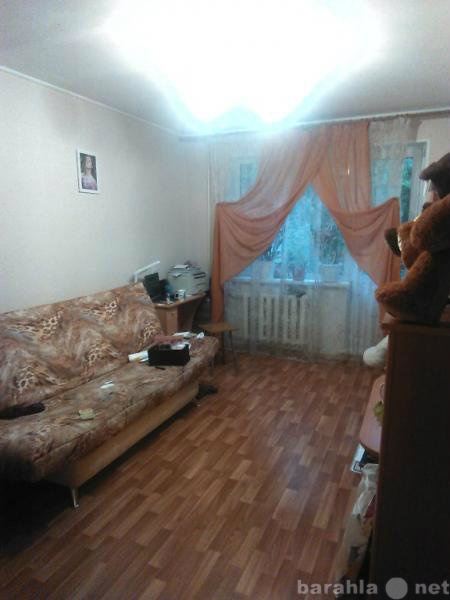 Сдам: квартиру