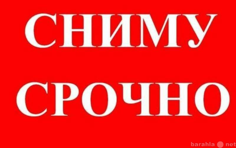 Сниму: помещение свободного назначения