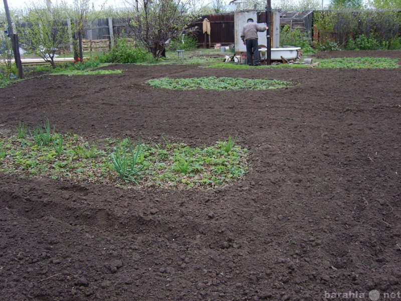 Продам: Дача 6 соток в районе Жилгородок