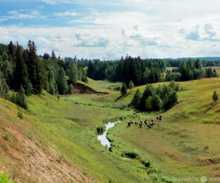 Продам: Земля в Арске