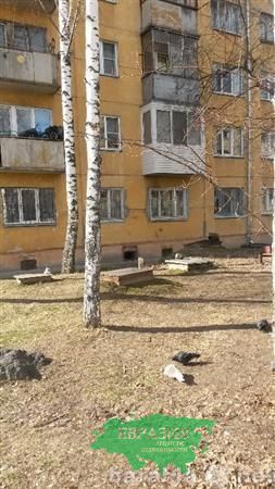 Продам: квартиру