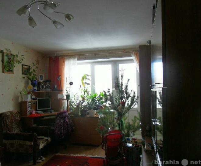 Продам: квартиру